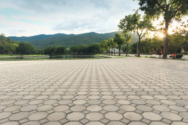 Best Custom Driveway Pavers  in Fenton, MI